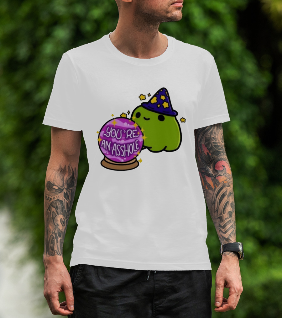 Frog Wizard Starry Hat Crystal Ball You're An Asshole T-Shirt