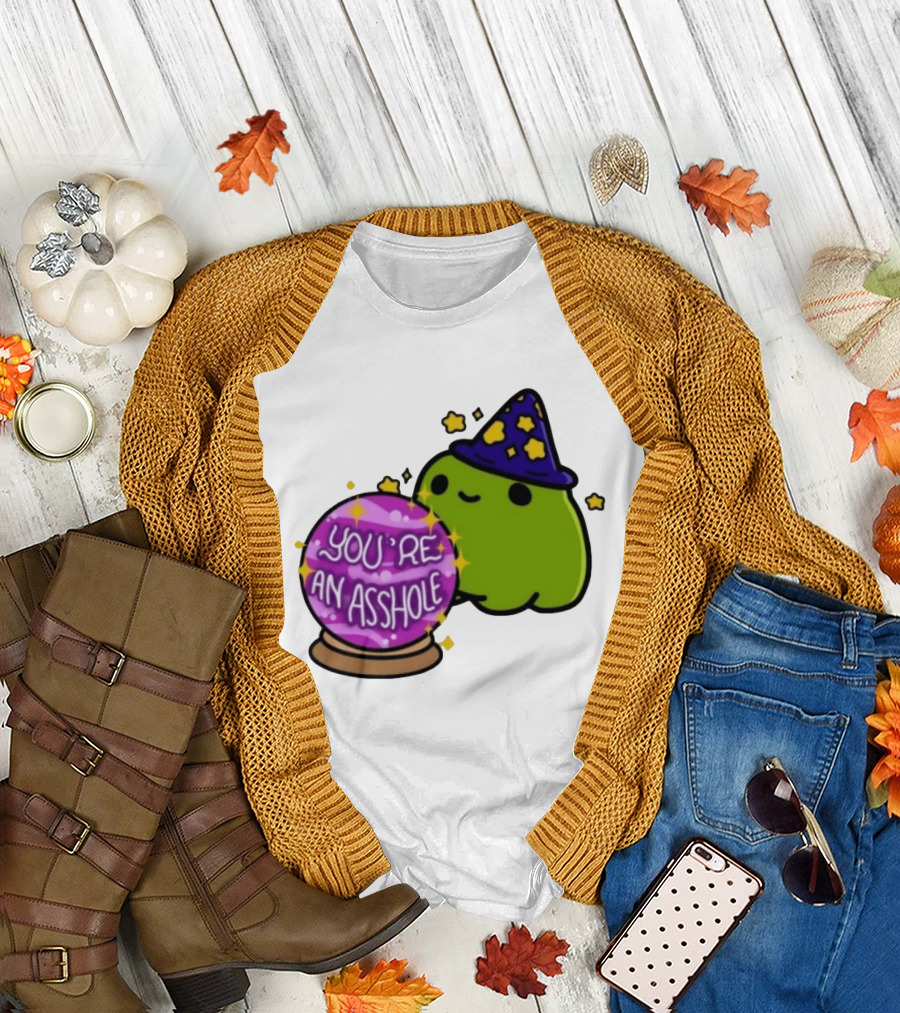 Frog Wizard Starry Hat Crystal Ball You're An Asshole T-Shirt