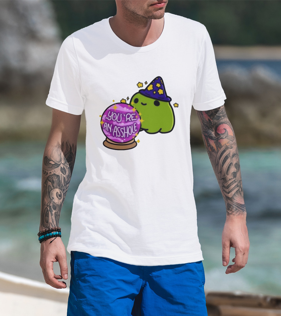 Frog Wizard Starry Hat Crystal Ball You're An Asshole T-Shirt