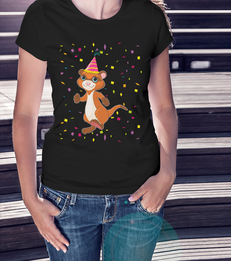 Funny Ferret Birthday Party With Confetti And Hat T-Shirt