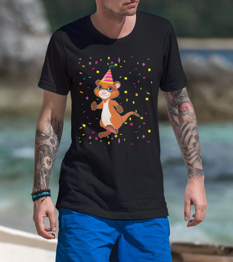 Funny Ferret Birthday Party With Confetti And Hat T-Shirt