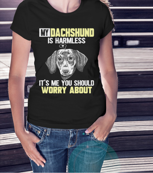 MY DACHSHUND IS HARMLESS IT'S ME YOU SHOULD WORRY ABOUT T-Shirt