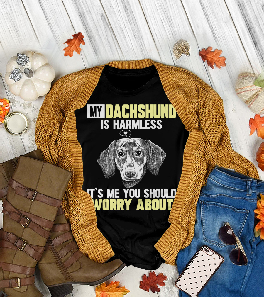 MY DACHSHUND IS HARMLESS IT'S ME YOU SHOULD WORRY ABOUT T-Shirt