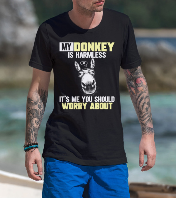 MY DONKEY IS HARMLESS IT'S ME YOU SHOULD WORRY ABOUT T-Shirt