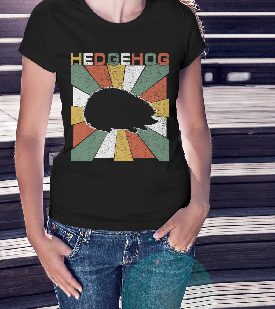 Hedgehog Retro 70s Silhouette Vintage Stripe Burst T-Shirt
