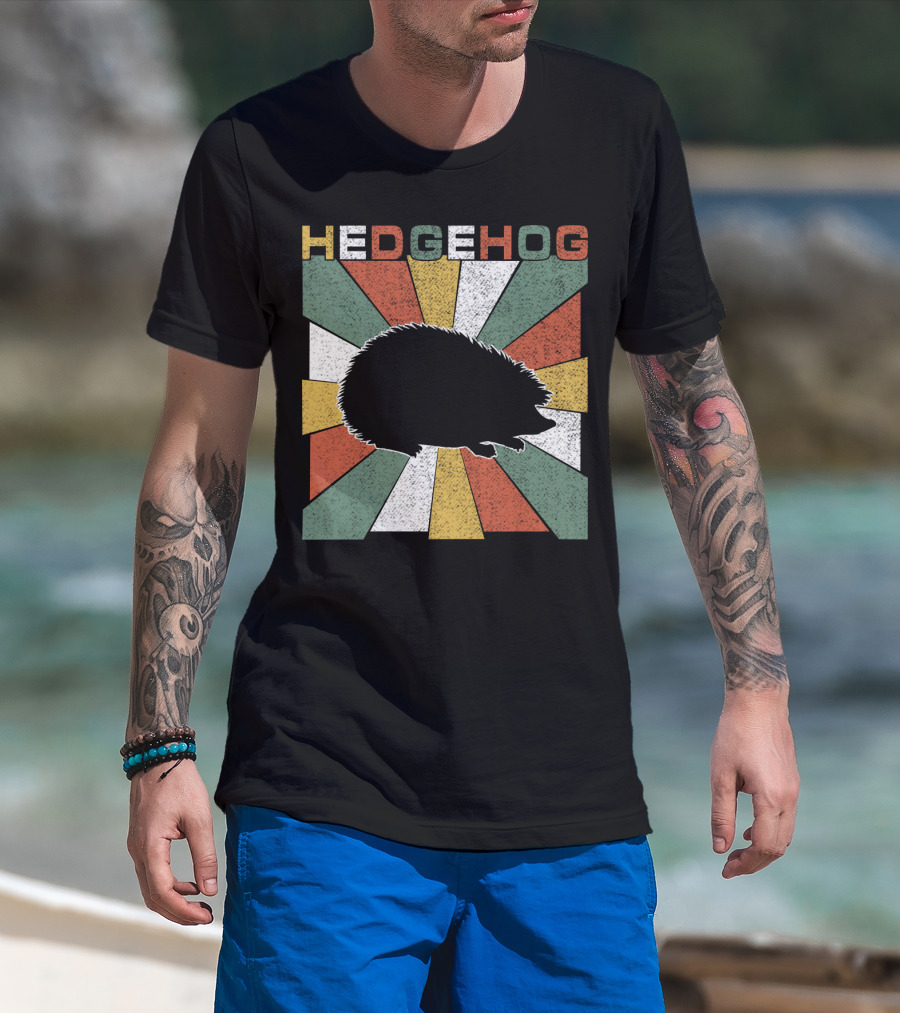 Hedgehog Retro 70s Silhouette Vintage Stripe Burst T-Shirt