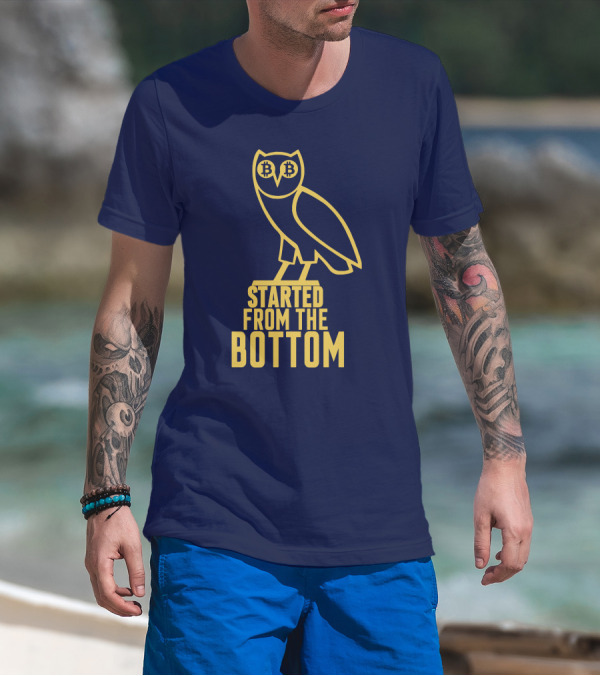 Mr Hodl Bitcoin Started From The Bottom Owl Bitcoin Eyes T-Shirt