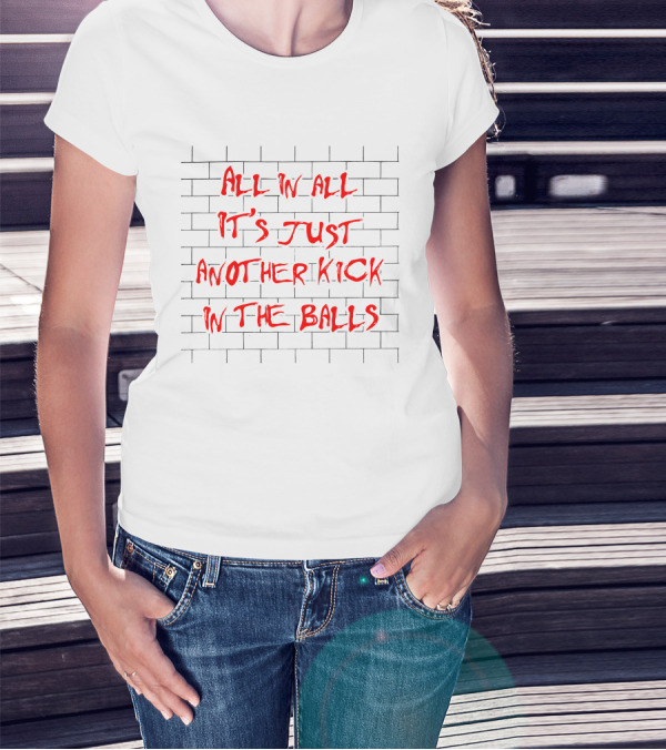 Pink Floyd Inspired All In All It's Just Another Kick In The Balls Brick Wall T-Shirt