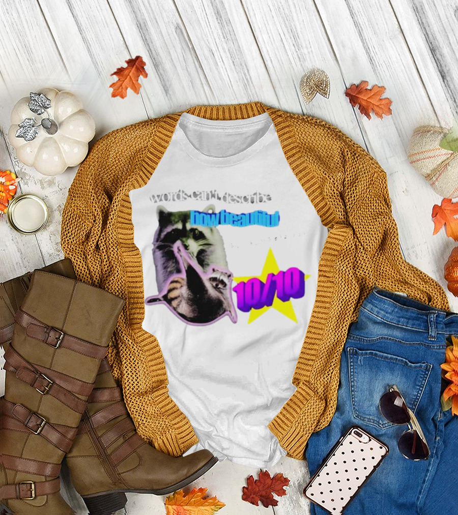 Words Can’t Describe How Beautiful I Am But Numbers Can 10/10 Raccoon with Star T-Shirt