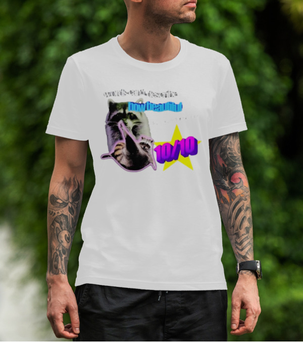 Words Can't Describe How Beautiful I Am But Numbers Can 10/10 Raccoon Star T-Shirt
