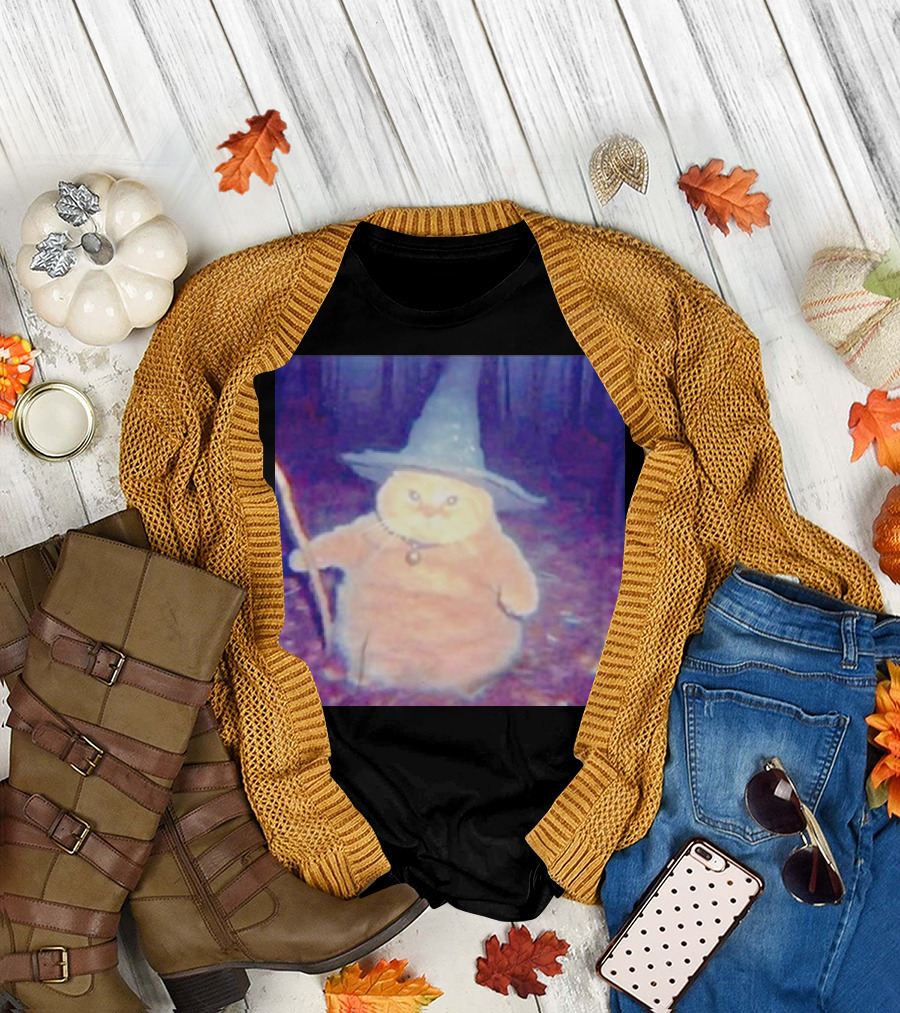 Cat Cheeseball Wizard Meme with Hat and Staff in Woods T-Shirt