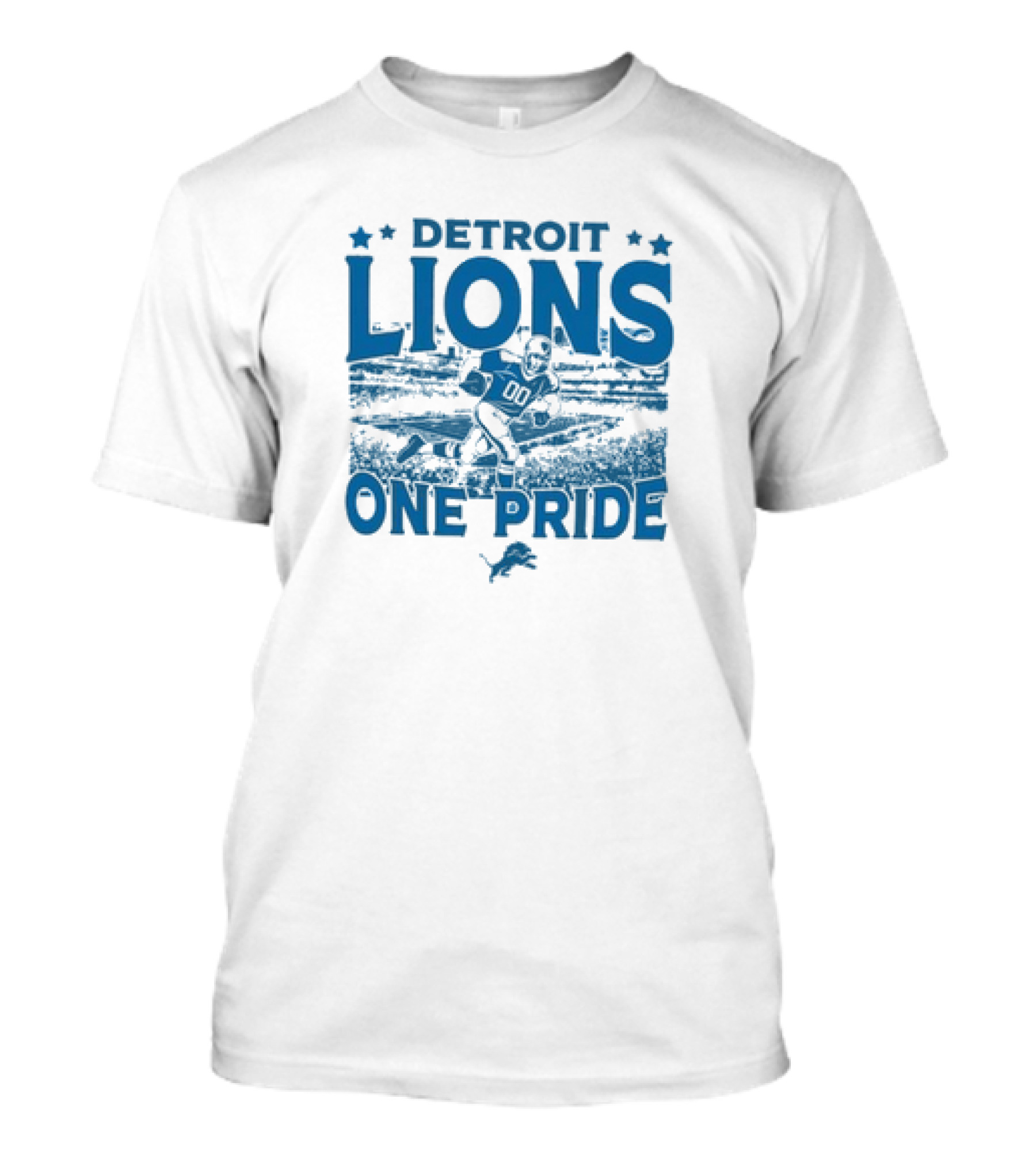 Detroit Lions One Pride Vintage Stadium Gameday T-Shirt