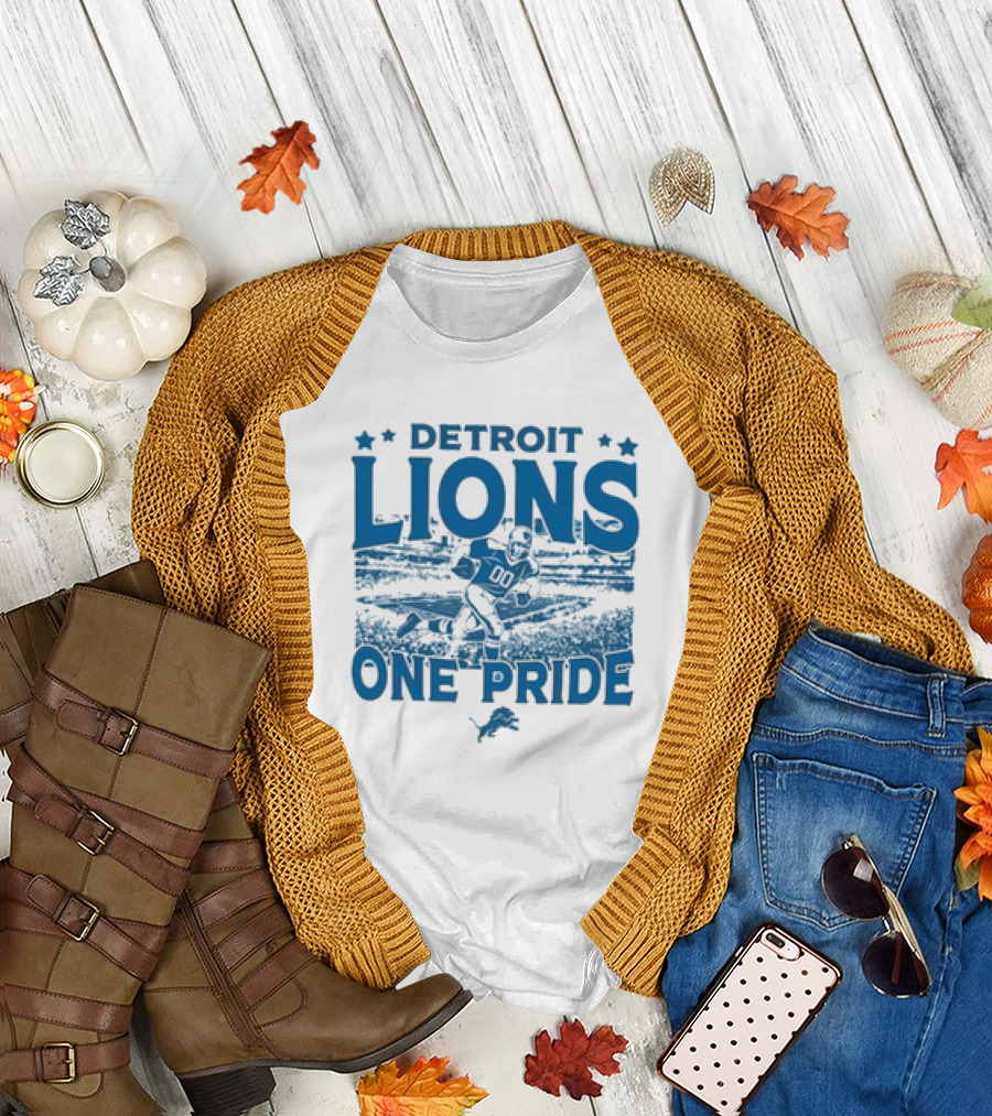 Detroit Lions One Pride Vintage Stadium Gameday T-Shirt