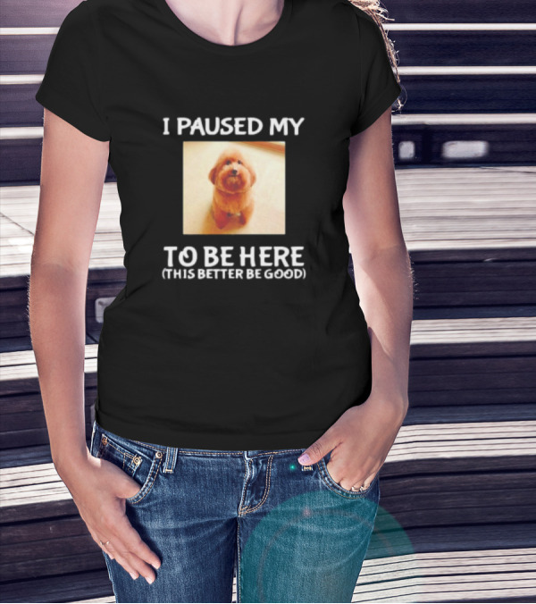 I Paused My Dog To Be Here This Better Be Good T-Shirt
