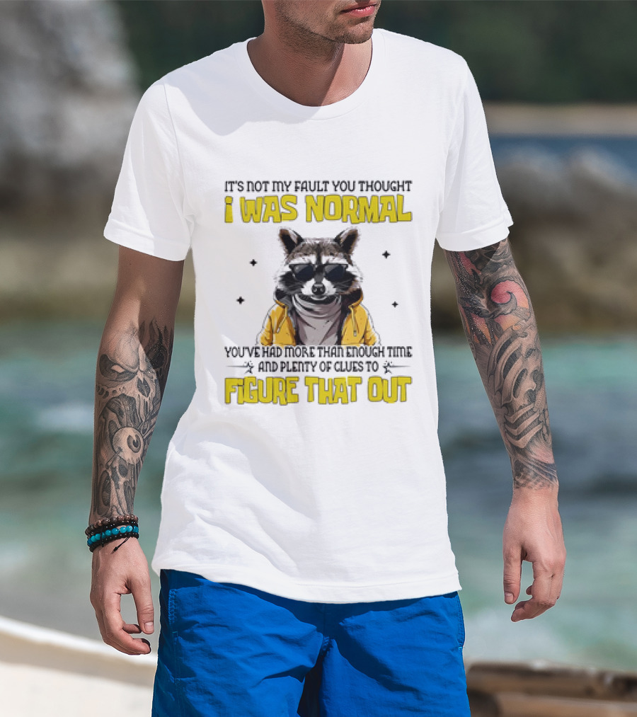 Raccoon It's Not My Fault You Thought I Was Normal You've Had More Than Enough Time And Plenty Of Clues To Figure That Out T-Shirt