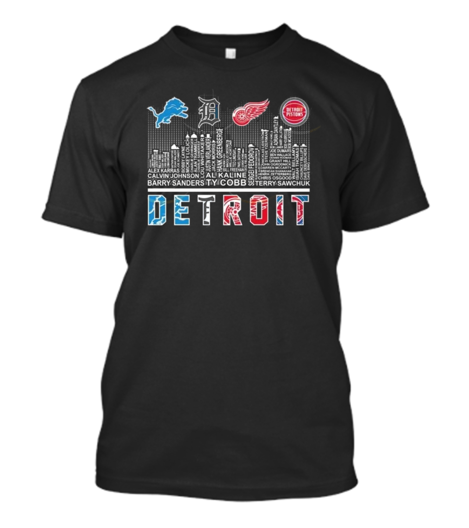 Detroit Lions X Detroit Tigers X Detroit Red Wings X Detroit Pistons Skyline 2025 T-Shirt