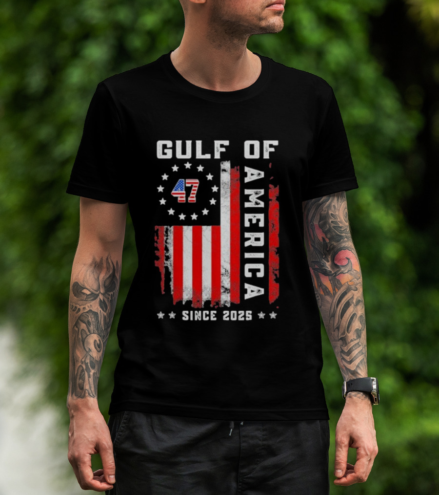 Gulf Of USA America Vintage USA Flag Grunged 2025 T-Shirt