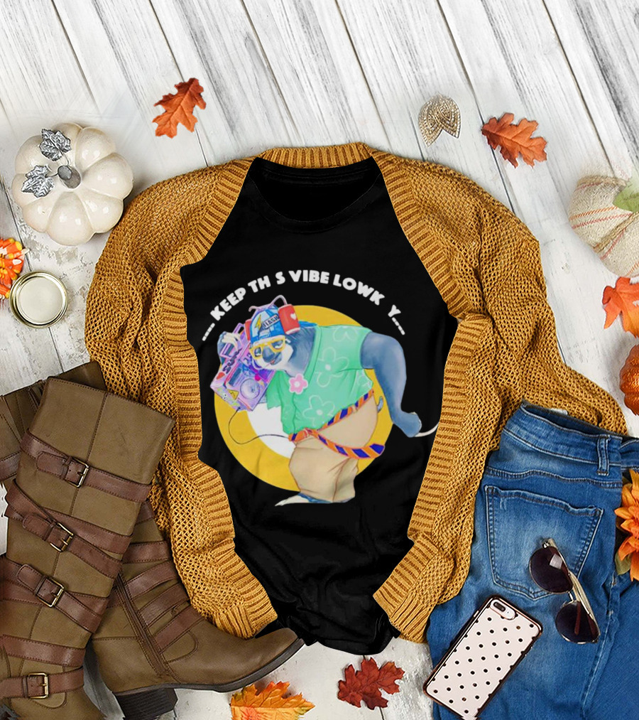 Sloth Keeping This Vibe Lowkey with Boombox and Sunglasses T-Shirt