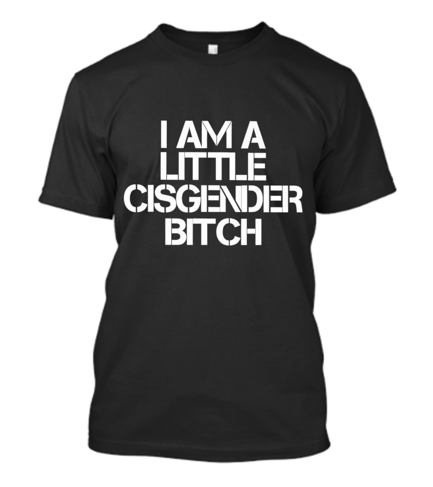 I Am A Little Cisgender Bitch T-Shirt