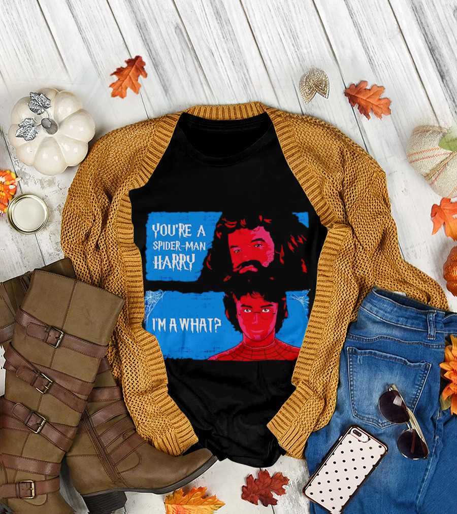 You're a Spider Man Harry I'm a What Parody Mashup with Wizard and Superhero T-Shirt