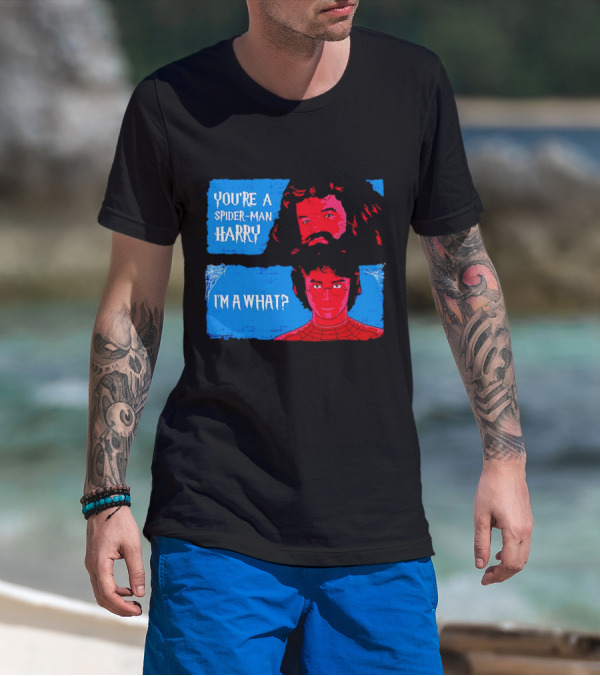 You're A Spider Man Harry I'm A What Parody Mashup With Wizard And Superhero T-Shirt
