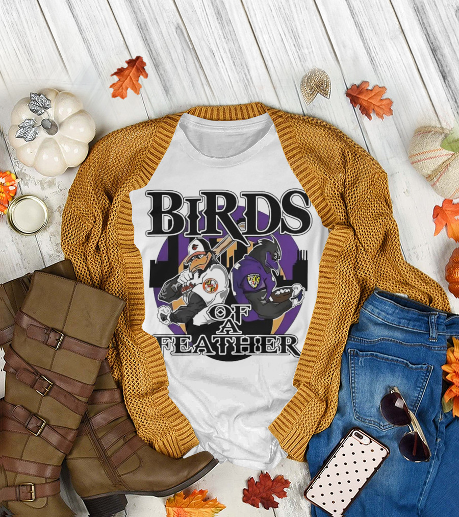 Birds Of A Feather Baltimore Ravens and Orioles T-Shirt