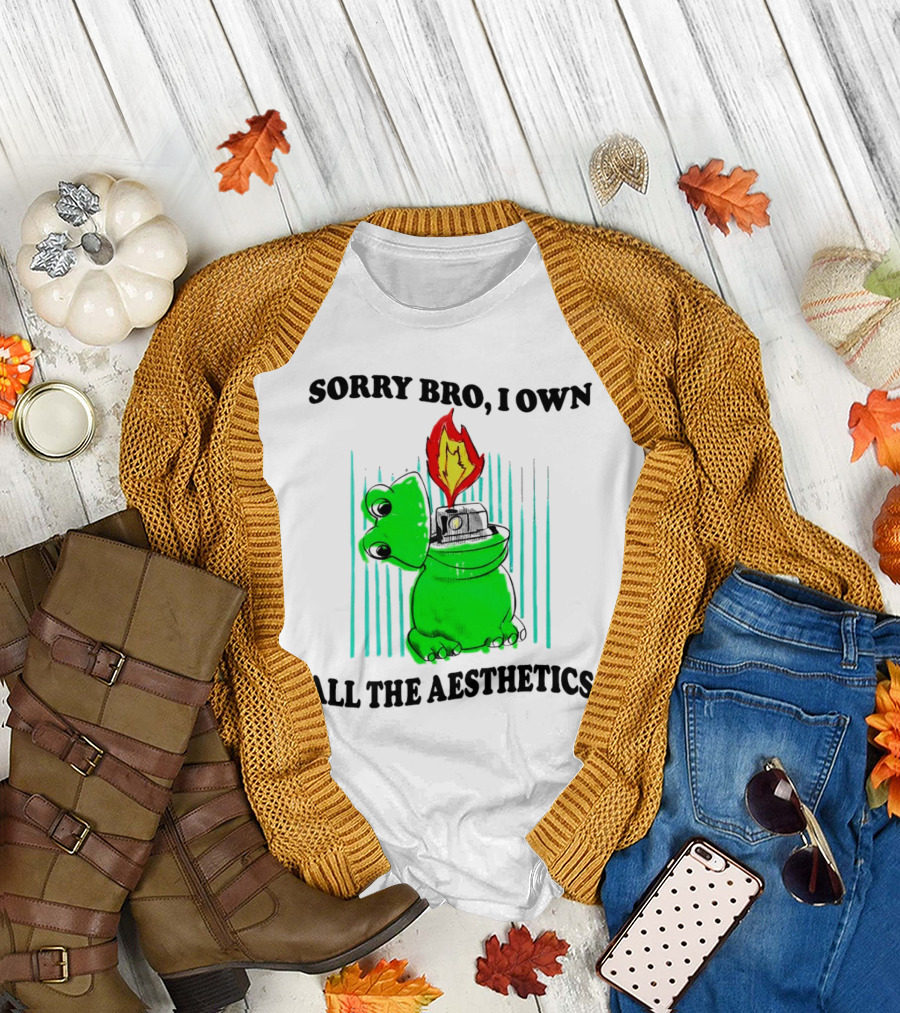 Sorry Bro I Own All The Aesthetics Melting Frog Lighter Flame T-Shirt