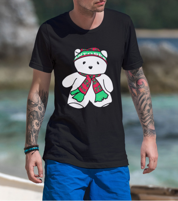 Santa Bear Minnesota Christmas Festive Holiday Teddy T-Shirt