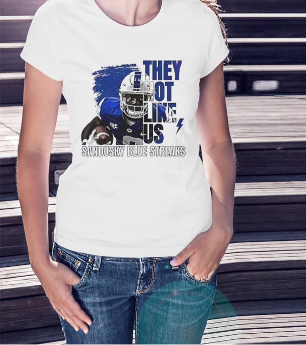 Sandusky Blue Streaks They Not Like Us Football Player Grunge T-Shirt