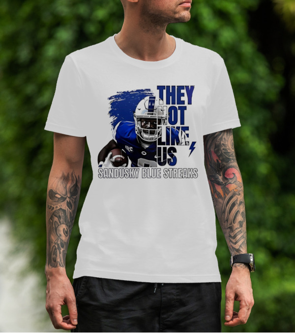 Sandusky Blue Streaks They Not Like Us Football Player Grunge T-Shirt