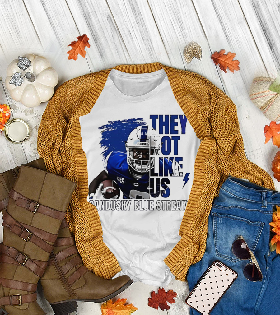 Sandusky Blue Streaks They Not Like Us Football Player Grunge T-Shirt