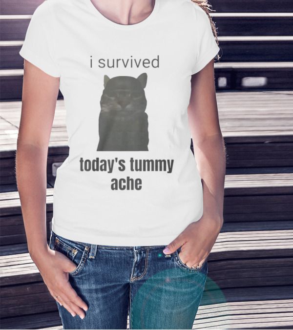 I Survived Today's Tummy Ache Cat Image T-Shirt