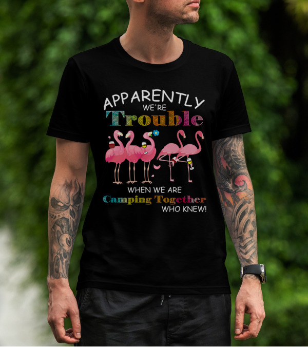 Apparently We're Trouble When We Are Camping Together With Flamingos Who Knew T-Shirt