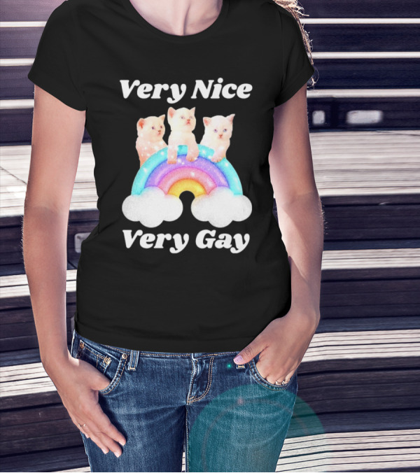 Very Nice Very Gay Cats On Rainbow T-Shirt