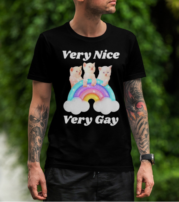 Very Nice Very Gay Cats On Rainbow T-Shirt