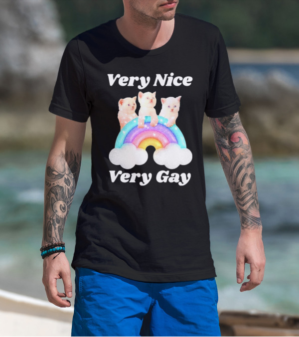 Very Nice Very Gay Cats On Rainbow T-Shirt