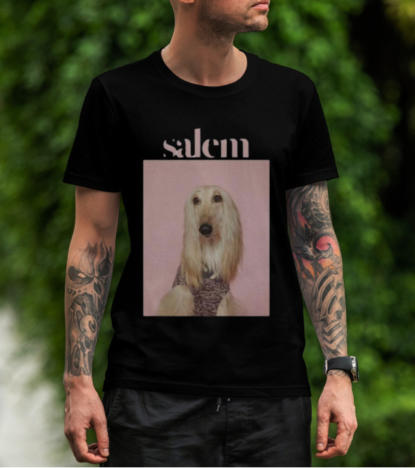 Salem Ilese Dog Afghan Hound Portrait On Pink Background T-Shirt