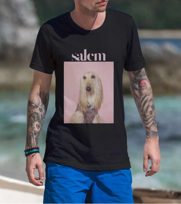 Salem Ilese Dog Afghan Hound Portrait On Pink Background T-Shirt