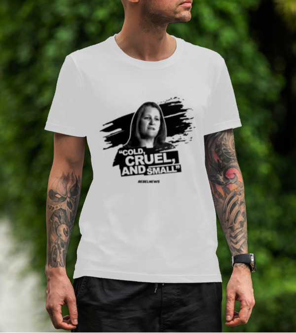 Cold Cruel And Small Sue Ann Levy Rebel News T-Shirt