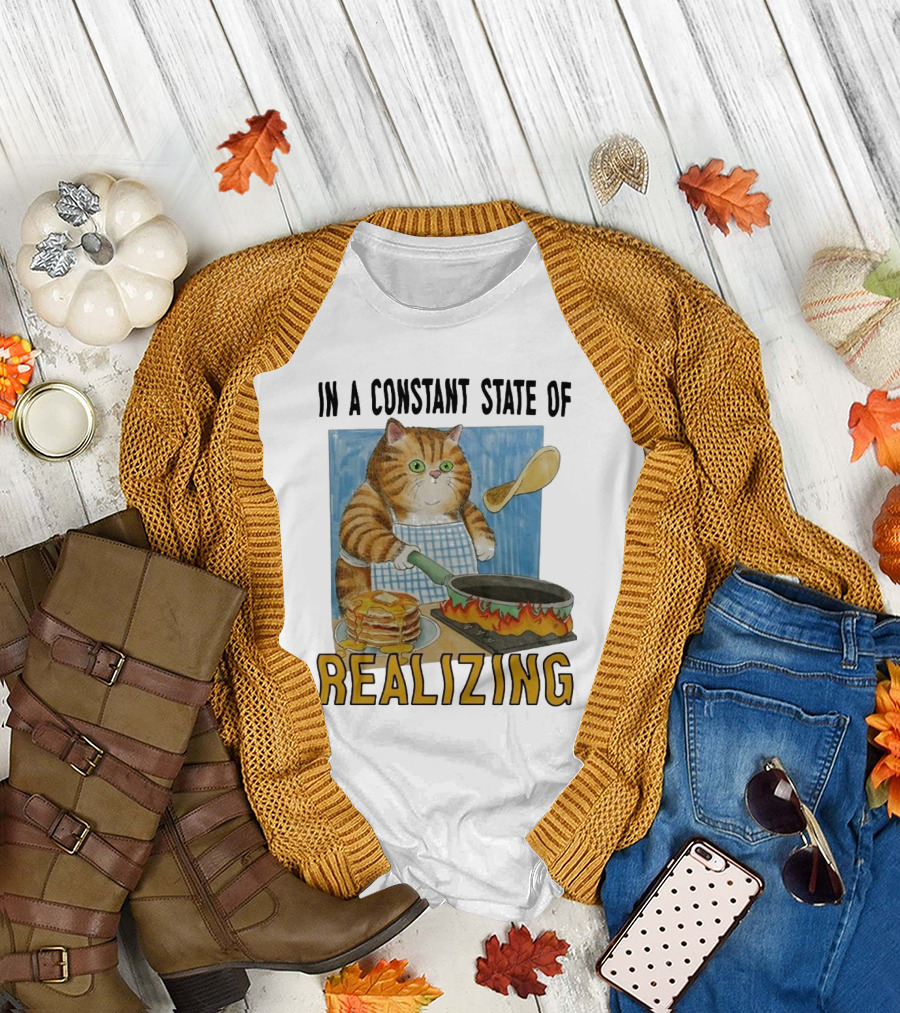In A Constant State Of Realizing Cat Cooking Pancakes Flame Pan T-Shirt