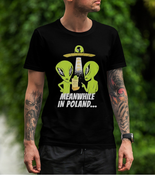 Meanwhile In Poland Alien Abduction Pierogi T-Shirt