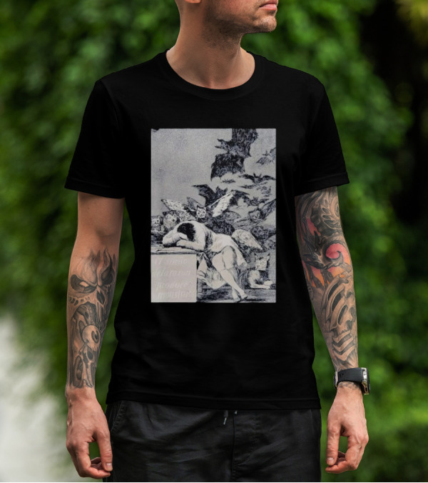 Francisco Goya The Sleep Of Reason Produces Monsters Artwork Scene With Bats And Owls T-Shirt