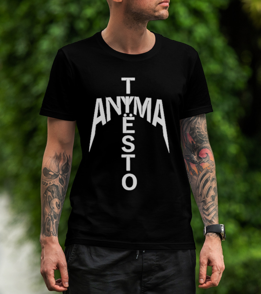 We Rave You Anyma Tiësto Typography Style T-Shirt
