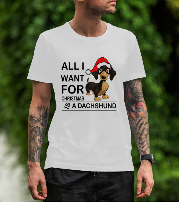All I Want For Christmas Is A Dachshund Wearing Santa Hat T-Shirt