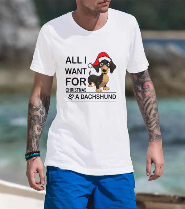 All I Want For Christmas Is A Dachshund Wearing Santa Hat T-Shirt
