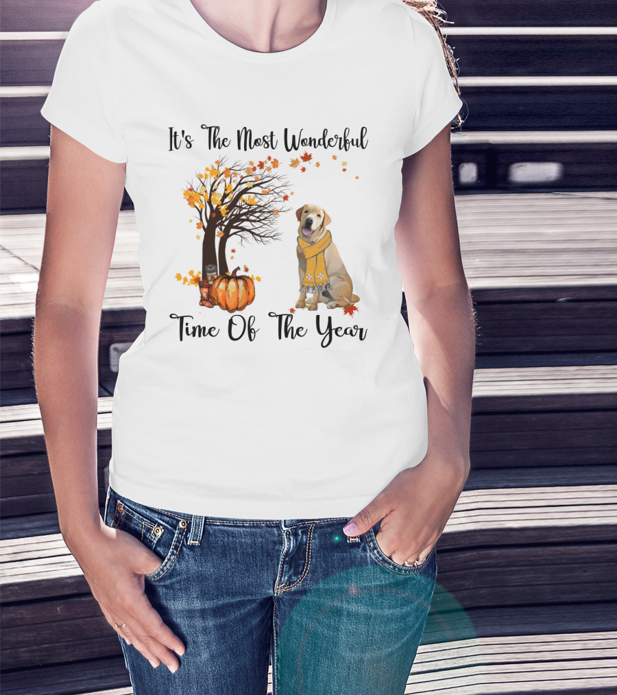 It's The Most Wonderful Time Of The Year Labrador Autumn Pumpkin Leaves T-Shirt