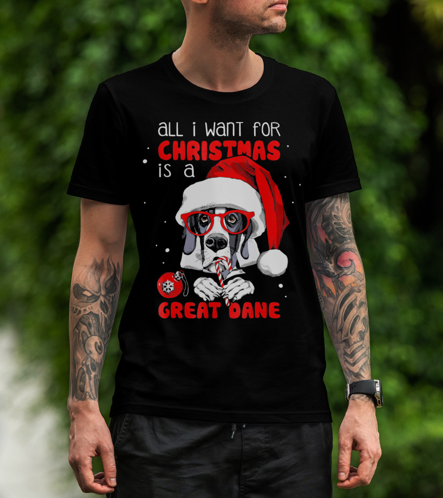 All I Want For Christmas Is A Great Dane Santa Hat Red Glasses Candy Cane T-Shirt