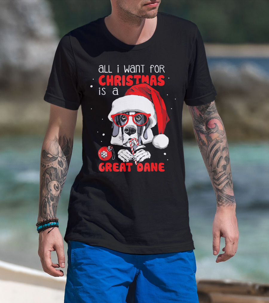 All I Want For Christmas Is A Great Dane Santa Hat Red Glasses Candy Cane T-Shirt