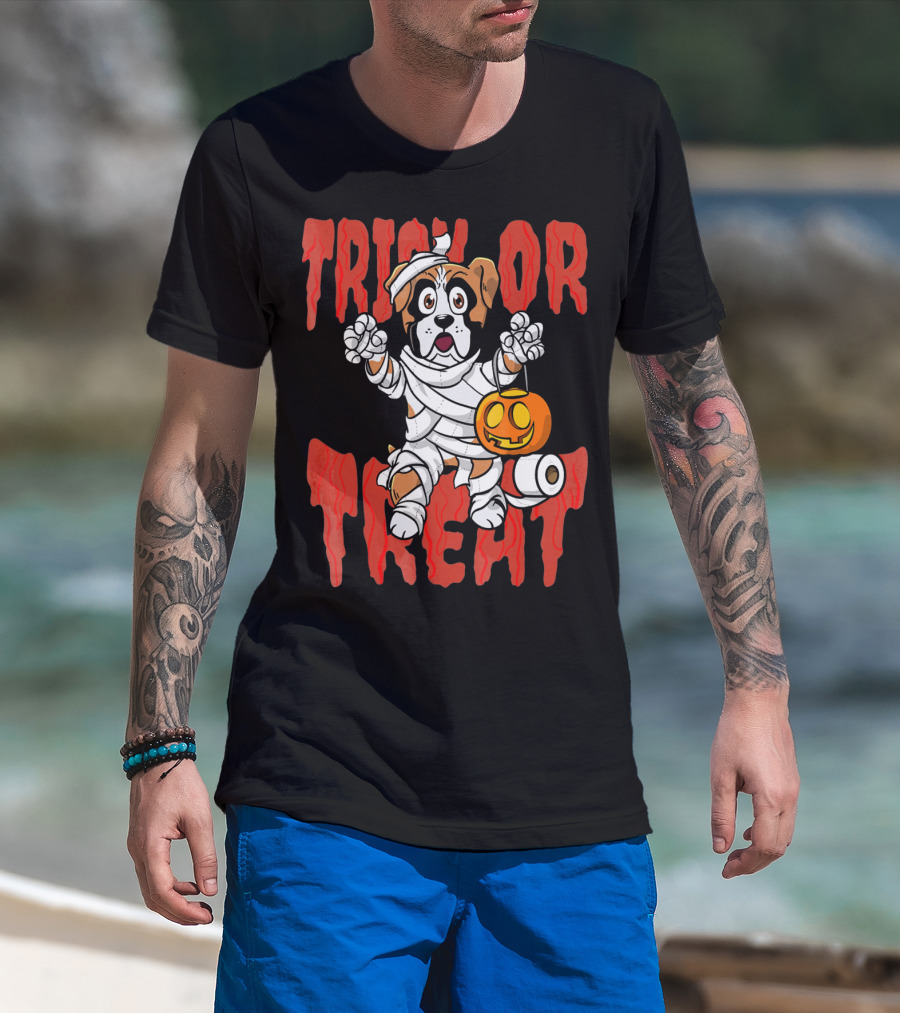 Trick Or Treat Boxer Dog Mummy With Pumpkin And Toilet Paper Rolls T-Shirt