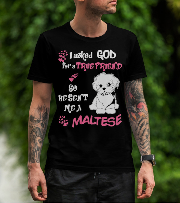 I Asked God For A True Friend So He Sent Me A Maltese T-Shirt